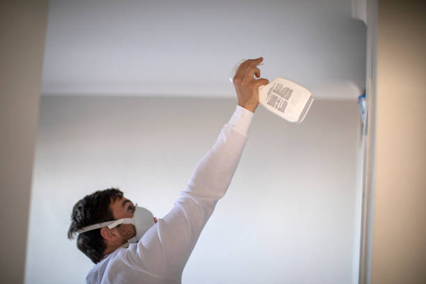 Best Emergency Mold Removal  in Mesquite, TX