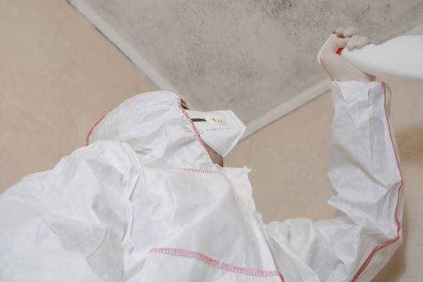 Best Mold Testing  in Mesquite, TX