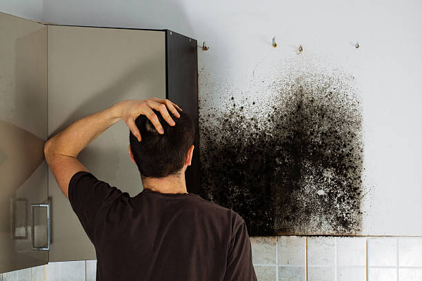 Best Office Mold Removal Services  in Mesquite, TX